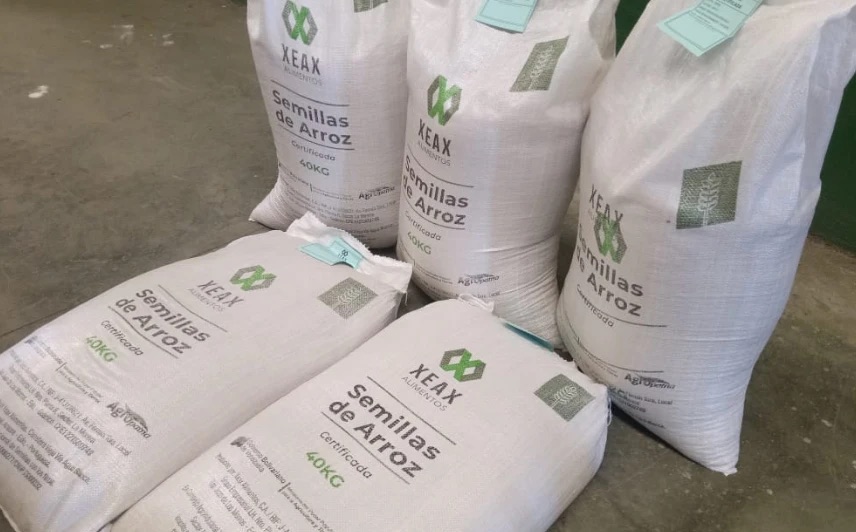 Sacos de 40 kg de semilla certificada de arroz de Xeax Alimentos